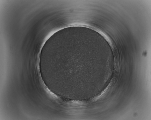 X0000100381102200806131054