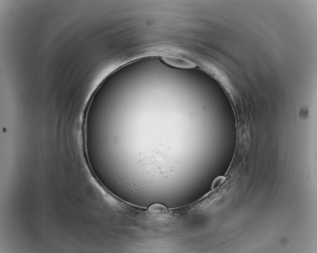 X0000100381103200806131054