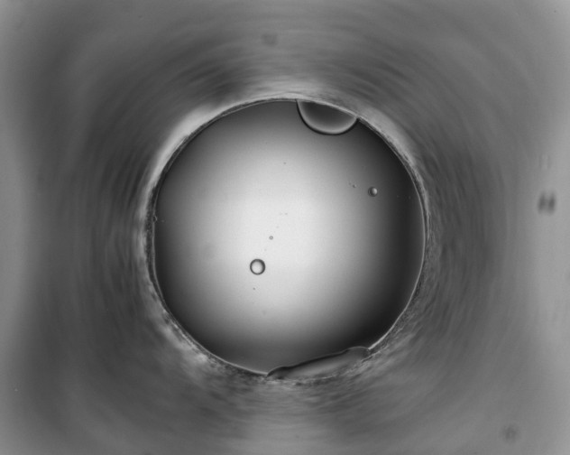 X0000100381104200806131054