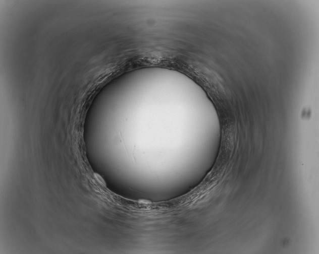 X0000100381105200806131053