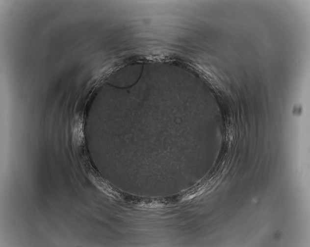 X0000100381106200806131053