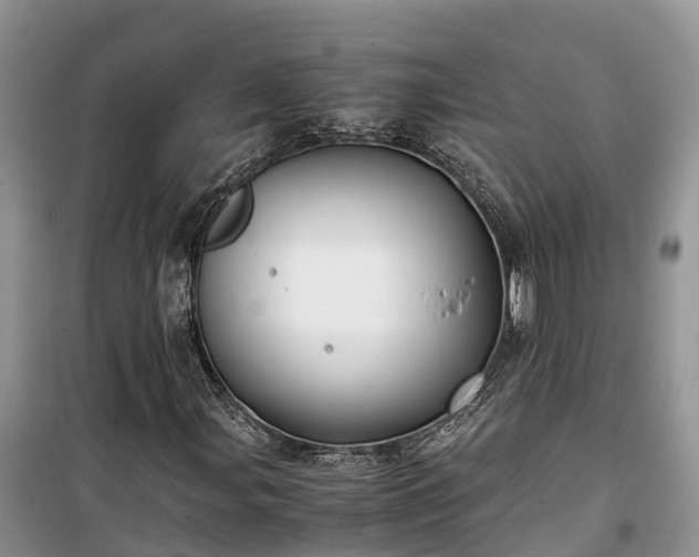 X0000100381107200806131053