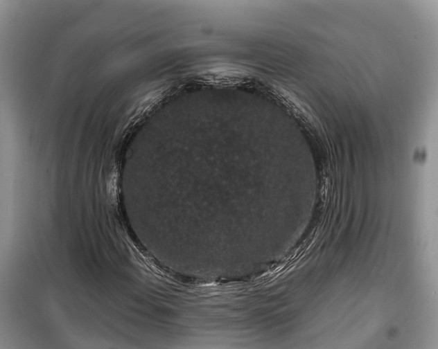 X0000100381108200806131053