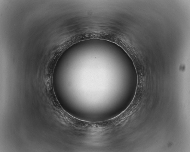 X0000100381109200806131053