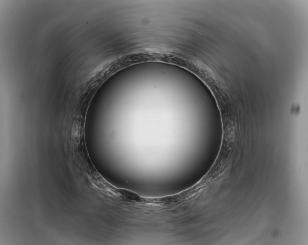 X0000100381110200806131053