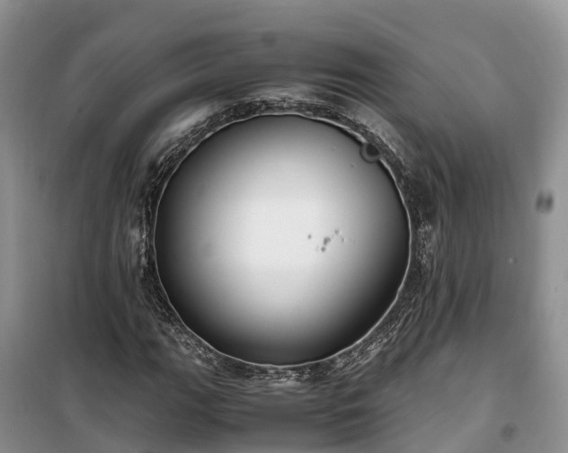 X0000100381111200806131053