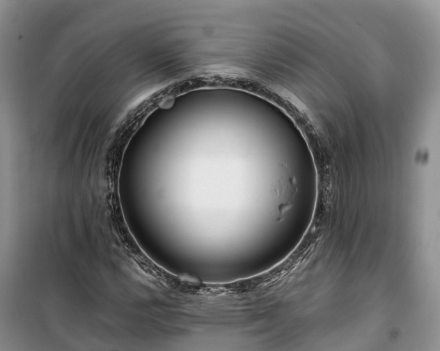X0000100381112200806131053