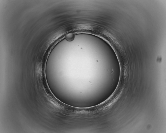 X0000100381113200806131053