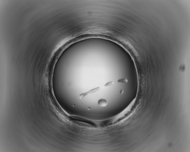 X0000100381114200806131053