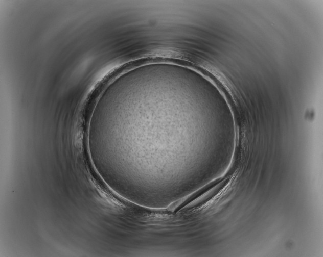 X0000100381115200806131053