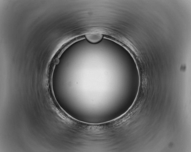 X0000100381116200806131053