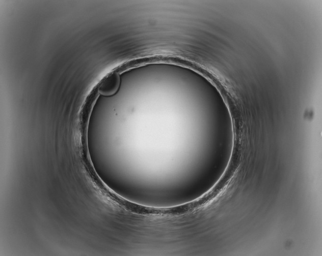 X0000100381118200806131054