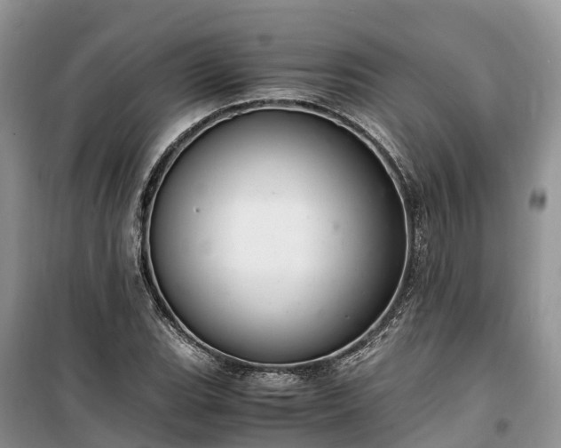 X0000100381119200806131054