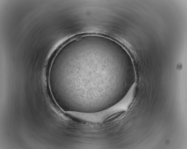 X0000100381120200806131054