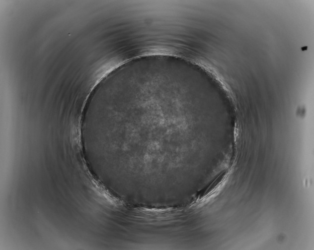 X0000100381121200806131054
