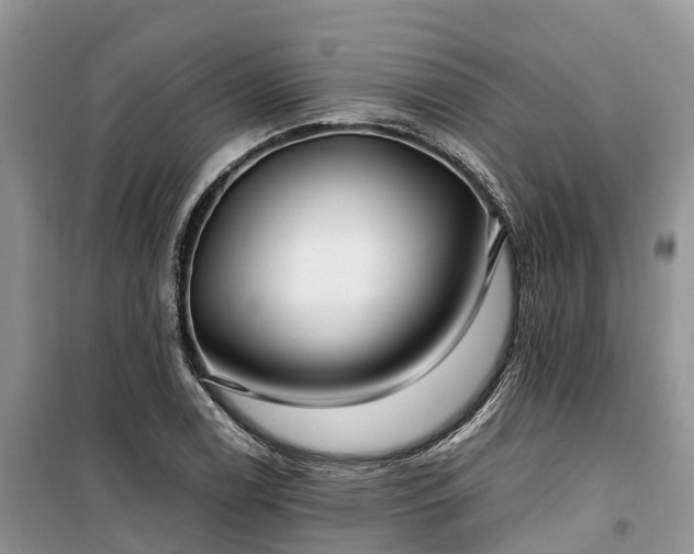 X0000100381122200806131054