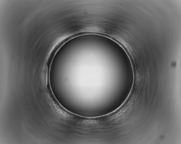 X0000100381123200806131054