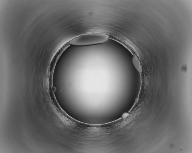 X0000100381124200806131054
