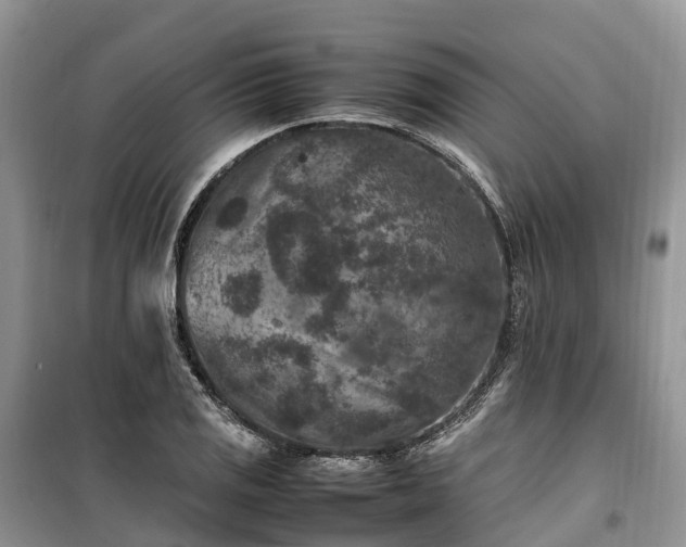 X0000100381125200806131054