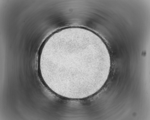 X0000100381126200806131054