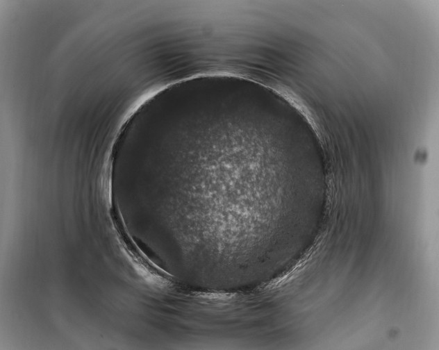 X0000100381127200806131054