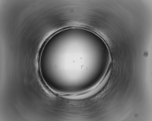 X0000100381128200806131054