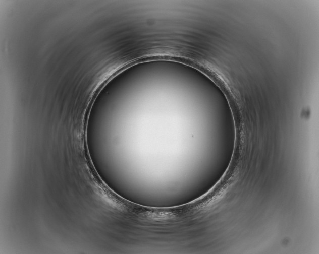 X0000100381129200806131054