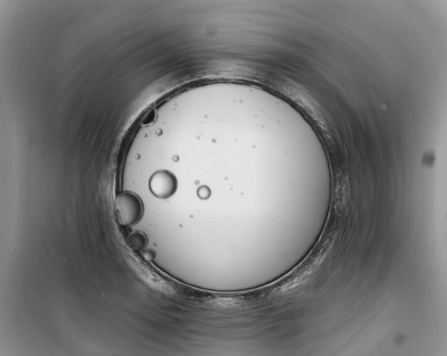X0000100381130200806131054