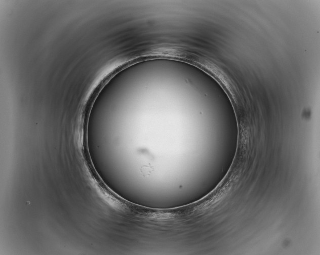 X0000100381131200806131054