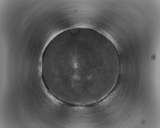 X0000100381132200806131054