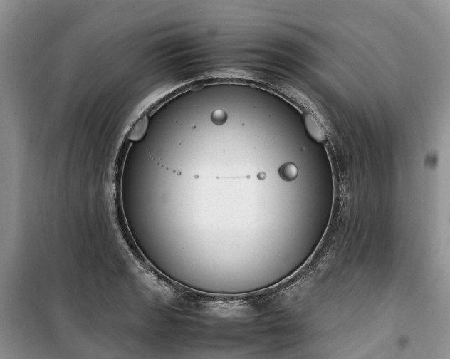 X0000100381133200806131054