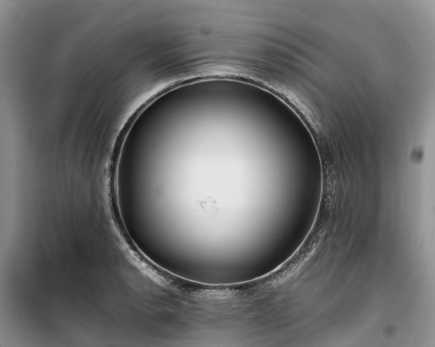 X0000100381134200806131054