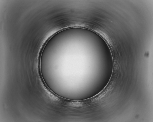 X0000100381135200806131054
