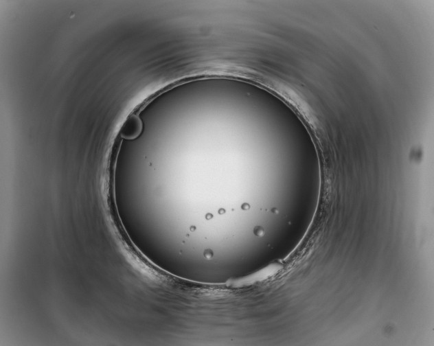X0000100381136200806131054
