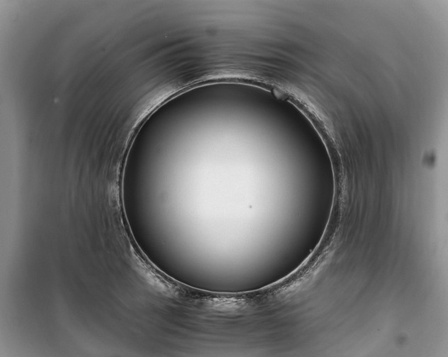 X0000100381137200806131054