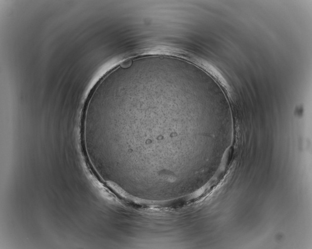 X0000100381138200806131054