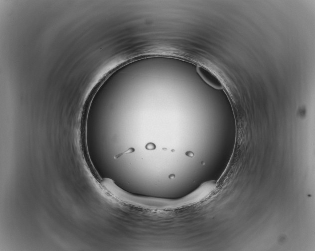 X0000100381139200806131054