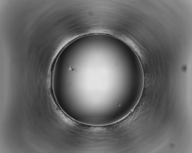 X0000100381140200806131054