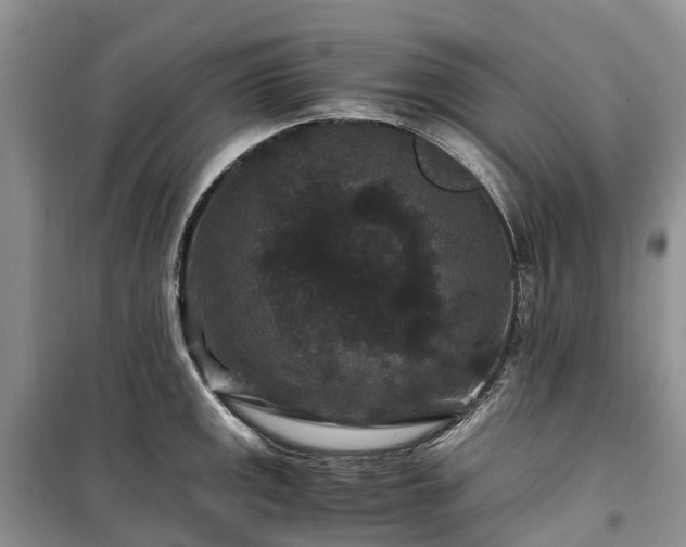 X0000100381141200806131054