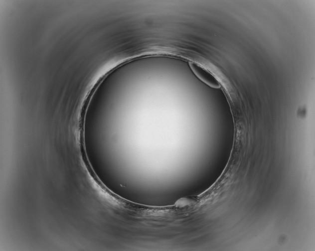 X0000100381143200806131054
