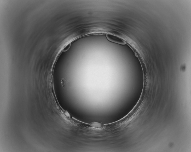 X0000100381145200806131054