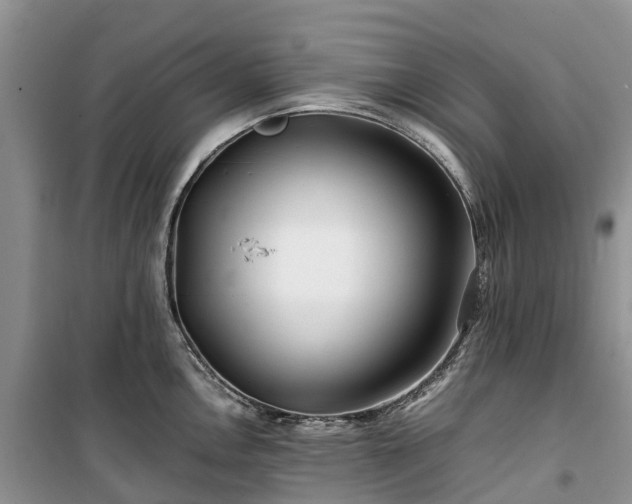 X0000100381146200806131054