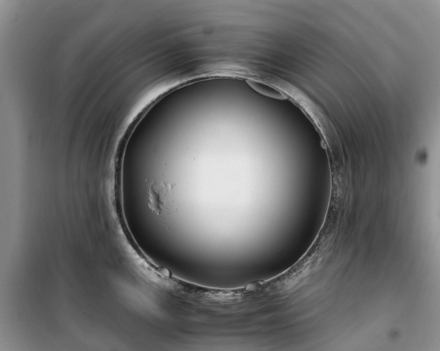X0000100381147200806131054