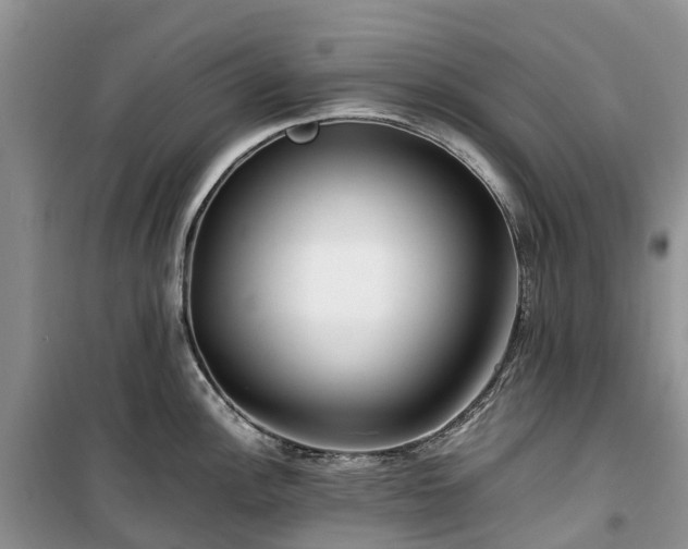X0000100381148200806131054