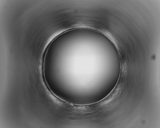 X0000100381149200806131054