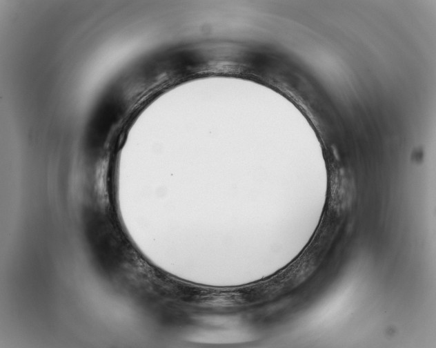 X0000100381150200806131054