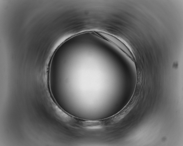 X0000100381151200806131054