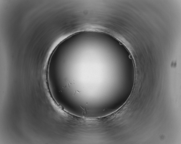 X0000100381152200806131054