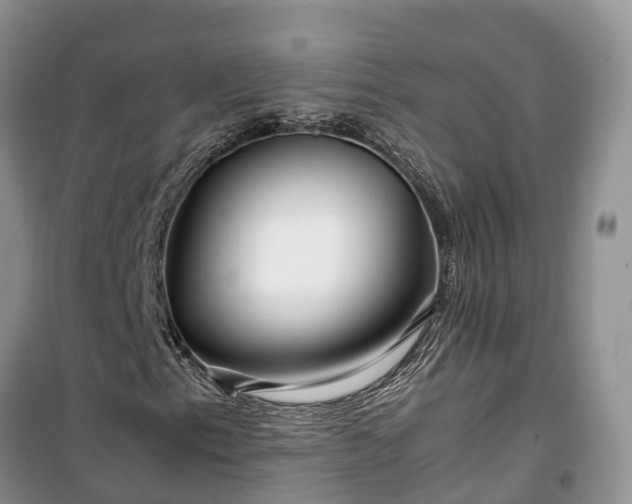X0000100381153200806131053