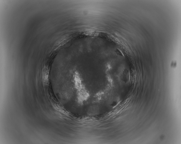 X0000100381154200806131053
